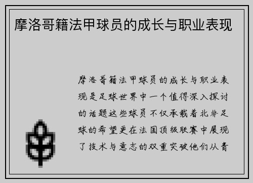 摩洛哥籍法甲球员的成长与职业表现